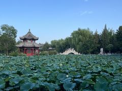 -莲池书院博物馆