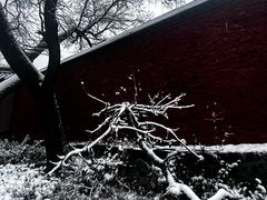 -窦大夫祠