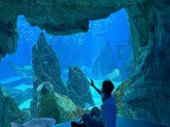 -海合安成都极地海洋公园