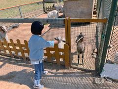 -潭柘厚院(桑峪村店)