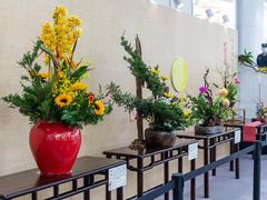 -深圳国际园林花卉博览园