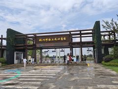 -杭州湾海上花田景区