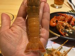 -贵木日本料理·铁板烧(新地假日广场店)