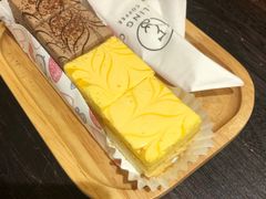 -滚猫咖啡·猫咖·猫友好撸猫(未来城店)