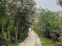 -缥缈峰景区