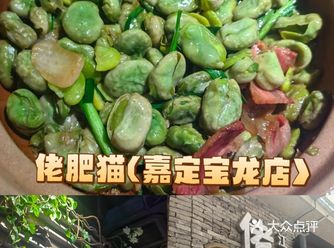 佬肥猫的这新菜是真的又油又咸啊