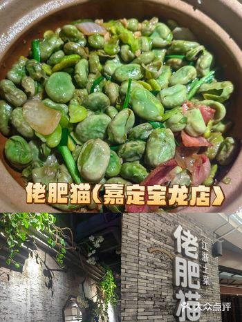 佬肥猫的这新菜是真的又油又咸啊