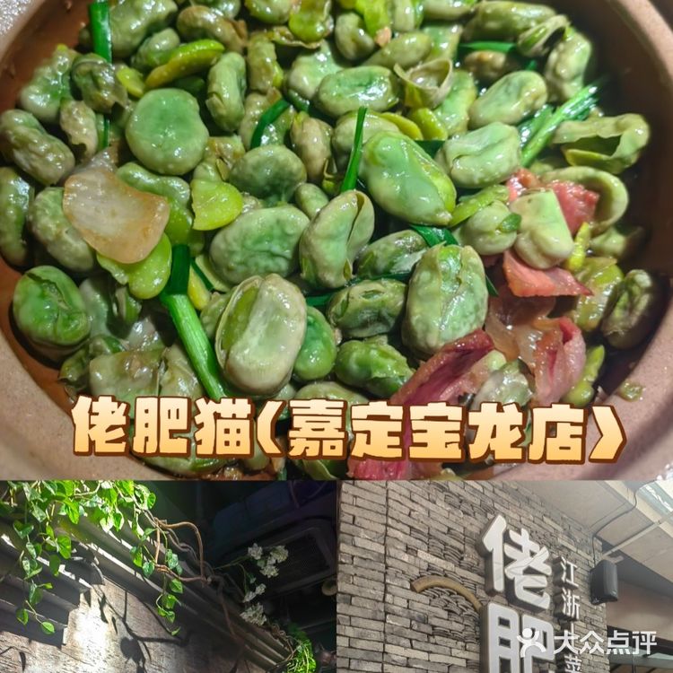 佬肥猫的这新菜是真的又油又咸啊