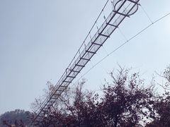 -木兰云雾山