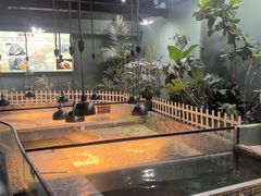 -上海大自然野生昆虫馆(东方明珠·爬宠昆虫探索中心)