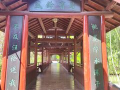 -南汇桃花村