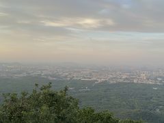-紫金山山顶公园