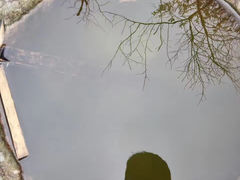 -祁门牯牛降观音堂风景区