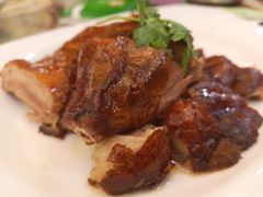 -椿记烧鹅(叠彩店)