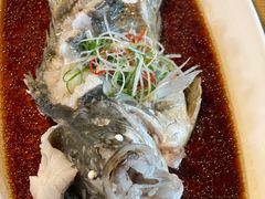 -几荷·恰似故人来(秀水广场店)