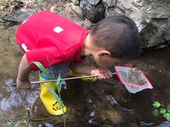 -碓臼峪自然风景区