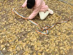 -辽宁大学(崇山校区)