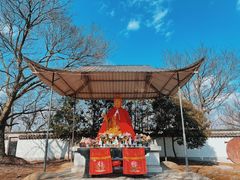 -上海佘山国家森林公园天马山园