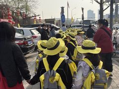 -杨梅红艺术教育(北京金源购物中心校区)