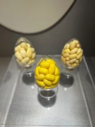 -太湖雪蚕桑文化园