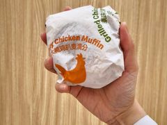 -麦当劳(塔园路店)