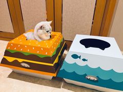 -麦当劳(苏州中心星悦汇店)