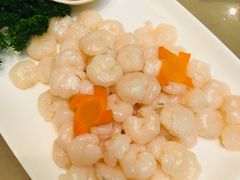 -席家花园(巨鹿花园店)