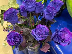 -La Medina餐厅(亮马河南路店)