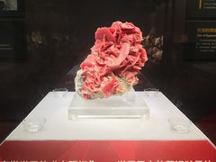 -湖南省地质博物馆