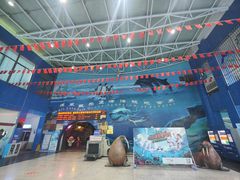 -蓬莱欧乐堡海洋极地世界