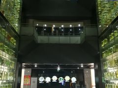 -广东中医药博物馆