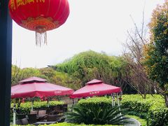 -荷风细雨·中国茶宴(碧云店)