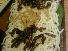 -云海肴·汽锅鸡·云南菜(天山百盛优客店)