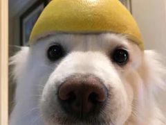 -银吉姆健身(平江万达馆)