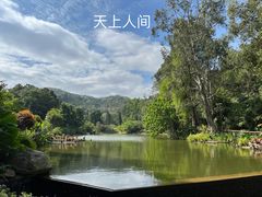 -深圳仙湖植物园