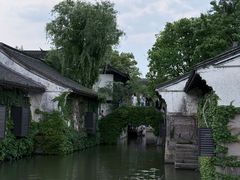 -鲁镇