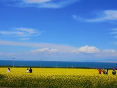 -青海湖国家重点风景名胜区