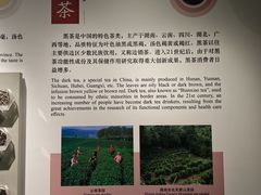 -中国茶叶博物馆(双峰馆区)