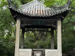 -云龙山