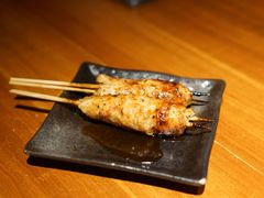 鸡肉丸子-串鑫
