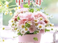 -金陵食府(林景店)