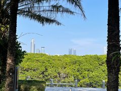 -福田红树林生态公园