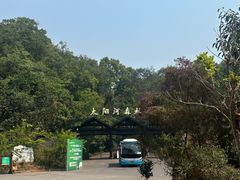 -普洱太阳河森林公园