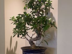 -钰田大院·怀柔地道农家菜·烤虹鳟鱼(雁栖湖店)