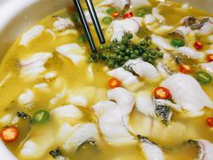 -青花椒花椒鱼(合生汇店)