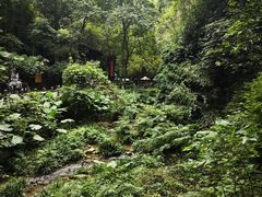 -桂林古东瀑布景区