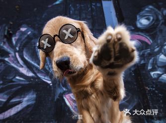 全都是3月可拍的城市哦，唯一的缺点就是需要提前预约