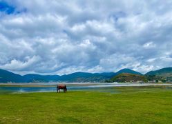 -纳帕海依拉草原