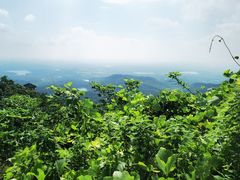 -句容茅山景区