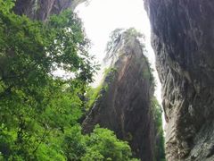 -蝶舞清江·恩施云顶景区(黄鹤峰林)